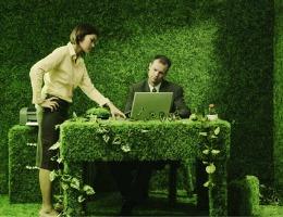 Green Schools and Offices Increase Productivity