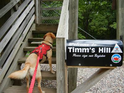 Reaching New Heights:  Timm's Hill