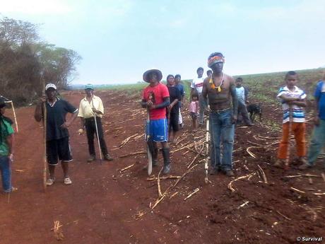 Brazil: Female Chief Leads Re-Occupation of Ancestral Land After Her Three Children Die The Guarani Apy Ka'y community has returned to its ancestral land currently occupied by a sugar cane plantation, amidst threats of death by gunmen. © Tonico Benites/Survival