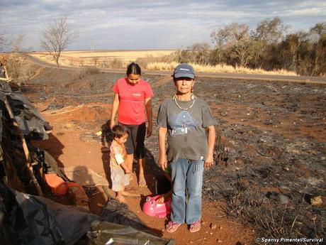 Brazil: Female Chief Leads Re-Occupation of Ancestral Land After Her Three Children Die Damiana, leader of Apy Ka'y community, stands by the remains of their camp after it was destroyed by fire. © Spensy Pimentel/Survival