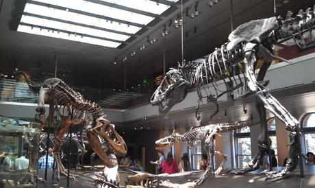 Dinosaur Hall exhibit
