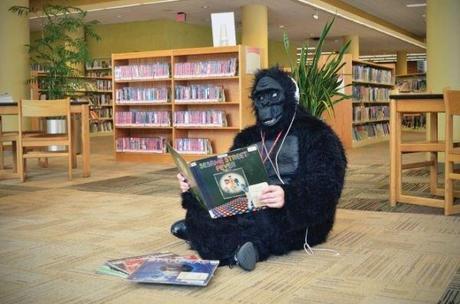 Pic of the Day: Gorilla Librarian gorilla-librarian