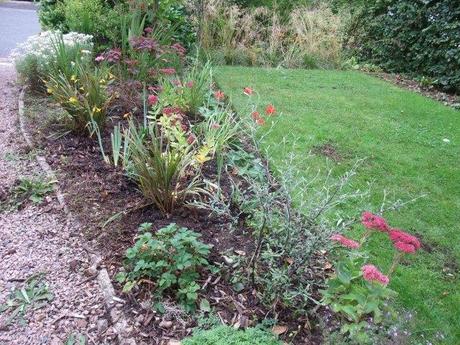The re-planted driveway border