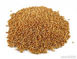pile-of-sorghum-grain
