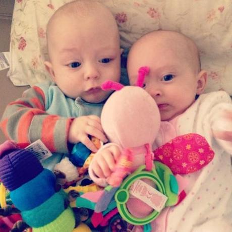 The Battle of Pink Butterfly - 281/365 The Battle of Pink Butterfly - 281/365