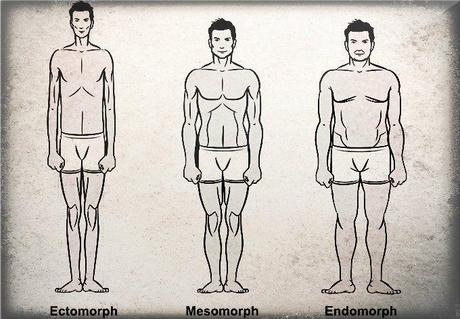 The three major body types.