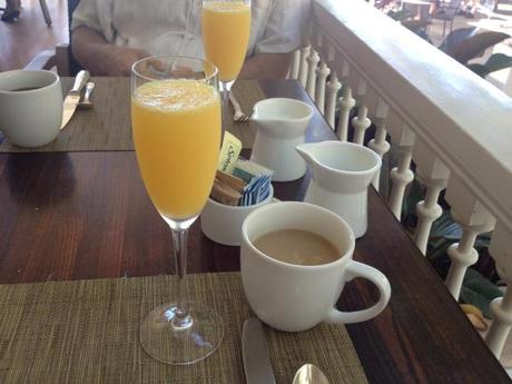 Mimosas are always in style (c) KC Saling, 2013