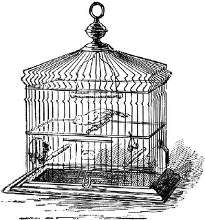 Droppings from Catholic Birdcage: Women Darn Valuable, 'Gang Male?