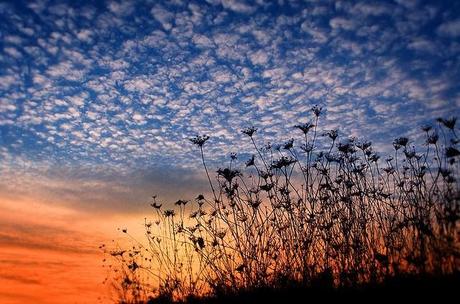 The end of the Yadavas Image Courtesy : James Jordan