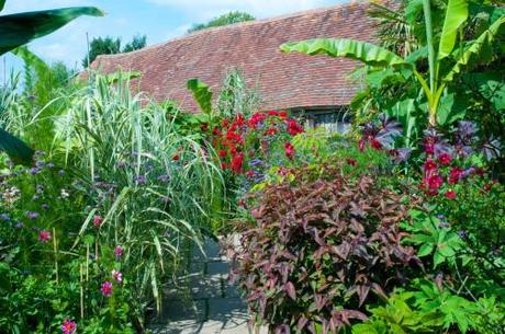 The Exotic Garden at Great Dixter, August 2011