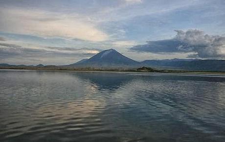 Any Animal That Touches This Lethal Lake Turns to Stone Any Animal That Touches This Lethal Lake Turns to Stone