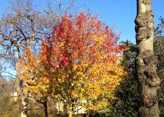 Prepare your skin for Autumn and Winter Prepare your skin for Autumn and Winter