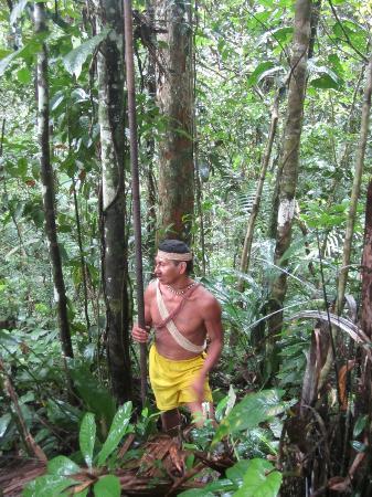 Amazon Oil Drilling Project Approved By Ecuador’s Parliament Waorani land