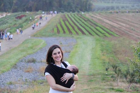 Pumpkin Patch IMG_0662_Layers_v1