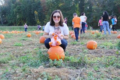 Pumpkin Patch IMG_0615_Layers_v1