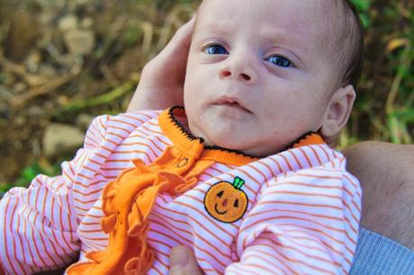 Pumpkin Patch IMG_0635_Layers_v1