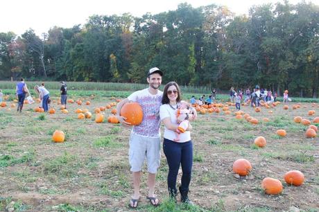 Pumpkin Patch IMG_0624_Layers_v1