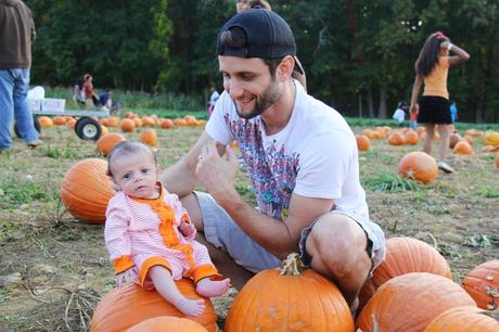 Pumpkin Patch IMG_0638_Layers_v1