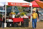 IMG_0021 IMG_0021