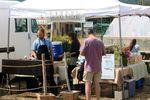 IMG_0041 IMG_0041
