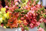 IMG_0034 IMG_0034