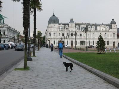 How to Get an Azerbaijan Visa in Batumi, Georgia azerbaijan consulate