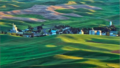 How the Palouse was Lost