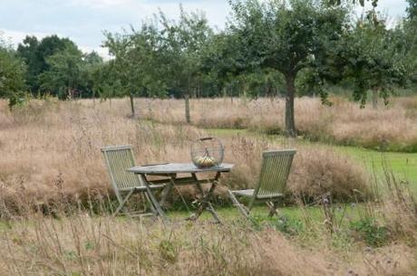 Jp Orchard with table and apples