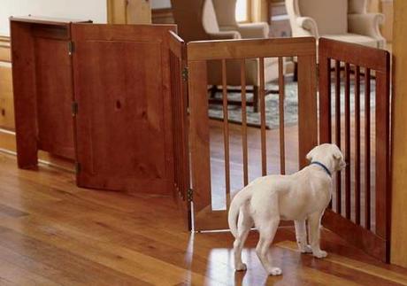 dog gate barriers