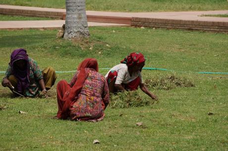 Women hand cutting the lawn