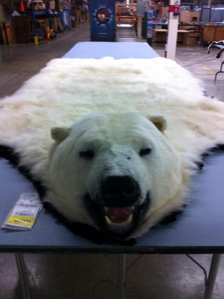 Photos from Inside a Recent ALF Target in Wisconsin NAFA