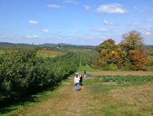 New England Living 1012131254a