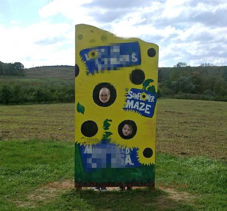 New England Living 1012131333