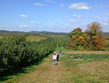 New England Living 1012131254a