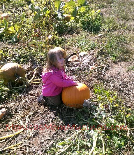 New England Living 1012131229