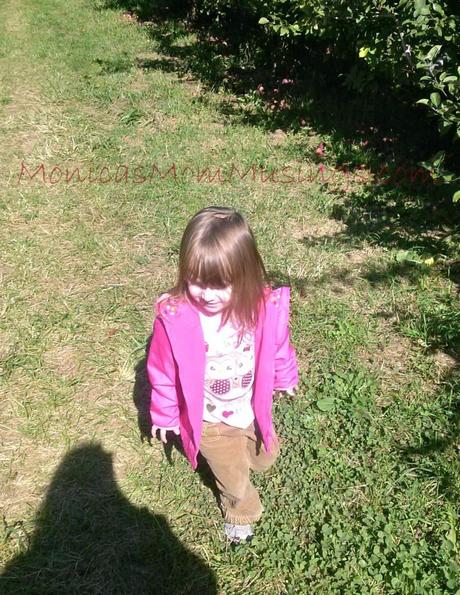 New England Living Apple picking