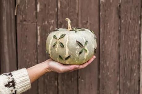 Decorate pumpkins with succulents