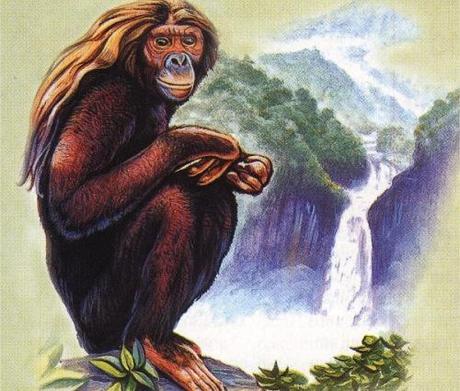 Bigfoot News October 14, 2013 Very nice drawing of an Orang Pendek.