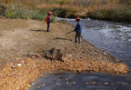 To the Creek To the Creek