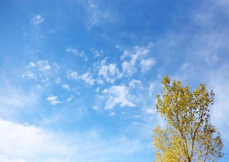 To the Creek To the Creek