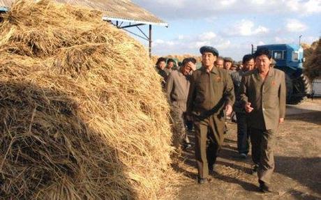 DPRK Premier Visits Farms in S. P’yo’ngan DPRK Premier Pak Pong Ju (L) tours the Yoldusamch'o'n Farm in Sukch'o'n County, South P'yo'ngan Province (Photo: Rodong Sinmun).
