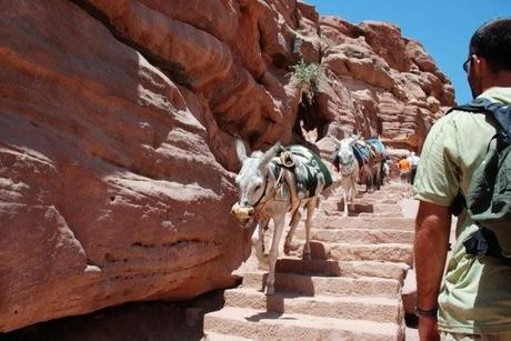 Uncovering Petra - Jordan's Lost City