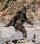 Bigfoot -- at least there's a photo