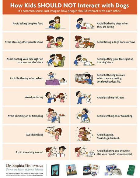 Dog as Social Creatures: Dog Interaction dog and kids interaction