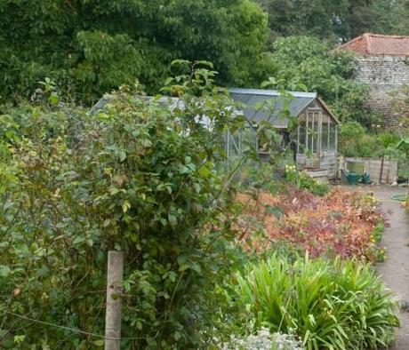 Greenhouses in Wiveton Hall Kitchen Garden