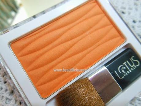 Swatch Fest ~ Lotus Herbals Pure Stay Long Lasting Blushes
