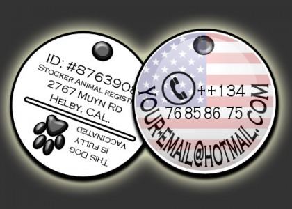 id dog tags for traveling dogs