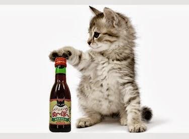 Japanese Wine For Cats