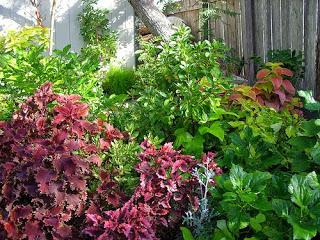 Making Your Garden Come Alive with Striking Colors