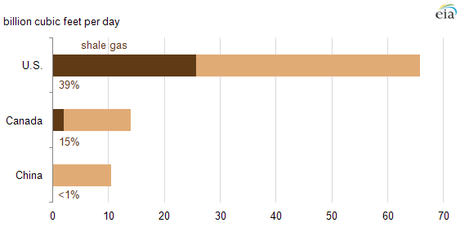 Shale gas as share of total dry natural gas production in 2012. 